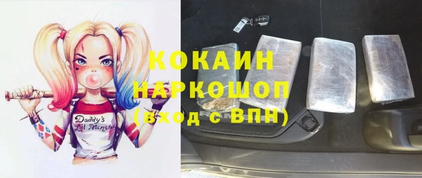 дмт Алексин