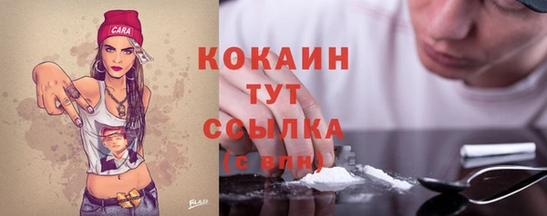 шишки Рославль