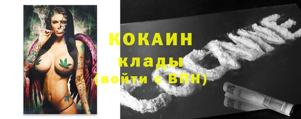 дмт Алексин