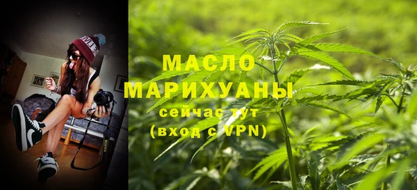 МДПВ Протвино