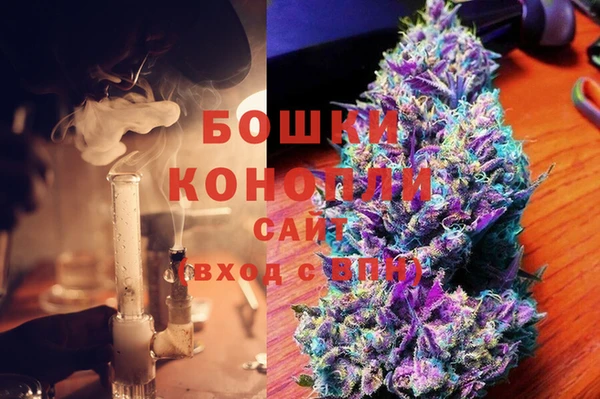 шишки Рославль