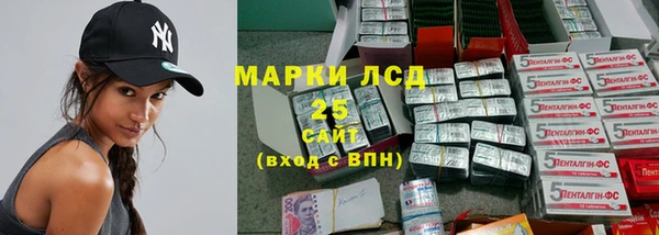 стаф Ростов